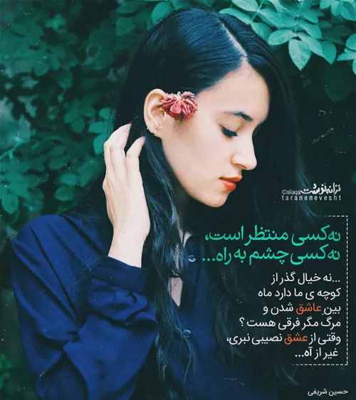 عکس نوشته fariba.fb 27141027 - عکس ویسگون