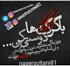 #nasersoltani81 #ناصرسلطانی #عکس_نوشته #دلنوشته #عکسنوشته