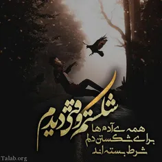 عکس نوشته zibamosavi 26921743