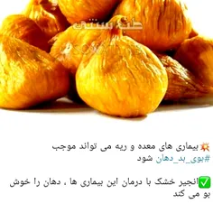 همیشه سبز با طراوت شاداب *Arvij *