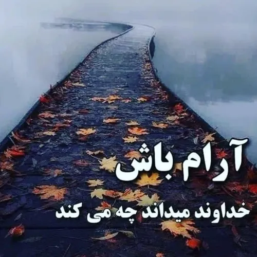  amir13611455 43031369 - عکس ویسگون