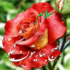 الهی نگاهی