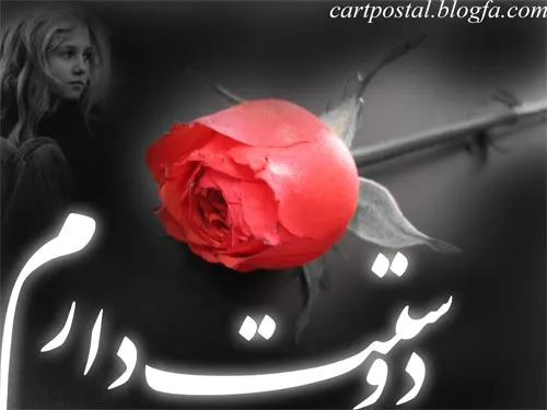 عاشقانه ها aminnamakdoon 129431 - عکس ویسگون