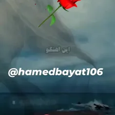 🌹🌹🌹🌹🌹🌹