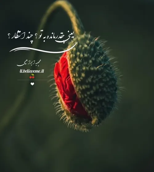 🍒🌱یعنی چقدر مانده به تو؟چند انتظار؟🍒🌱