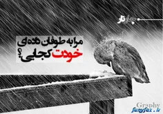 عکس نوشته p2sh 8303558