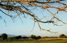 روستای زیبای ایزی _ سبزوار 