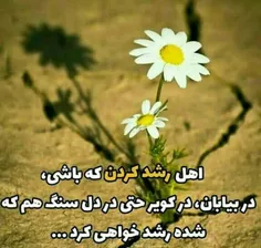 عکس نوشته ali67_66 28018705