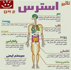 سلامت و تندرستی akhbar_enghelabi 30867077