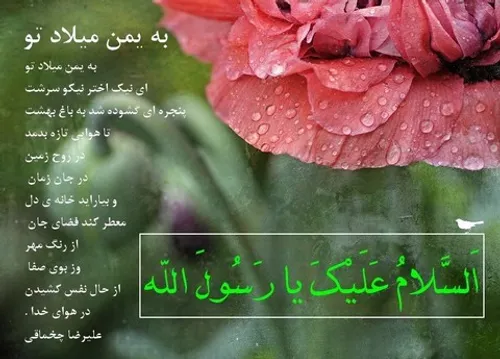 به یمن میلاد تو