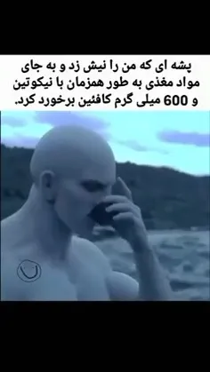 تا تو باشی دیگه من رو نیش نزنی🎀