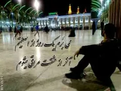 کرامت و بزرگواری امام حسین ( ع ) 