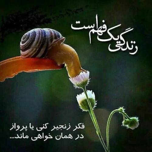 👤 دکتر الهی قمشه ای: