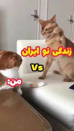 زنده‌ای هنوز؟ 😂😭