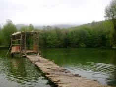 stalli