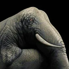 فیل دستی