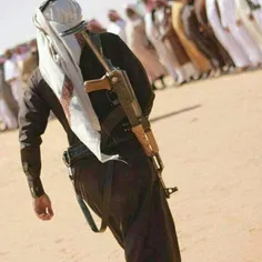 جنگنده ان هم ازجنس عرب واقعا فوق العادست