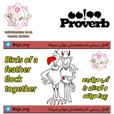 #proverb