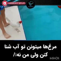 مرغ ها میتونن تو آب شنا کنن ولی من نه :/