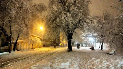 رشت همین الان