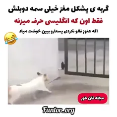 در محله شاسکول آباد 😑👌