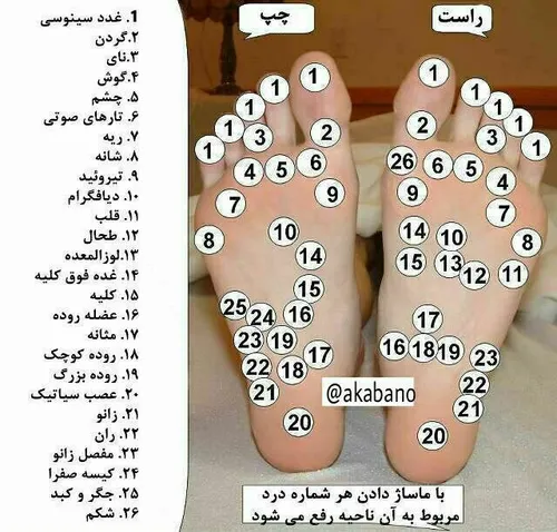 ‎👆 👆 خانم ها آقایون توجه