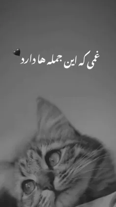 غمی که این جمله ها داره🥲