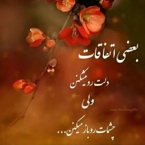  123adf 65338453 - عکس ویسگون