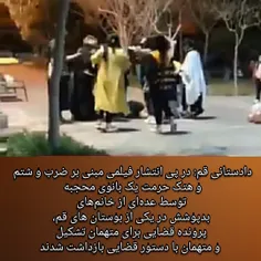 (بازداشت عاملان حمله به یک خانم محجبه)