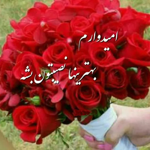 هنر shayan5858 25296391 - عکس ویسگون