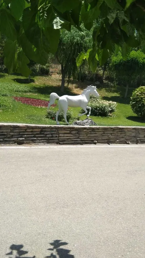 📷 پارک جوانمردان ایران محله باصفا