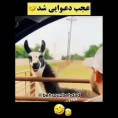 اسیددددد اوردم براتون🤣🤣🤣