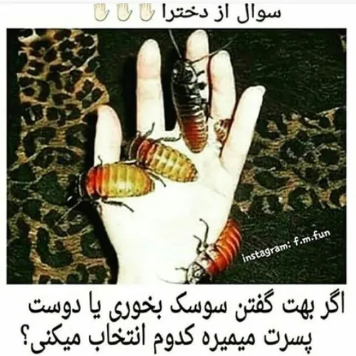 من ک Bf ندارم اما اگ داشتمم ترجیح میدادم بمیرهههههه ^ ^ .