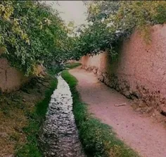 *کوچه های قدیمی را باریک می ساختند تا آدمها به هم نزدیکتر