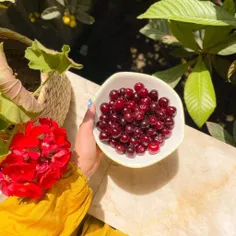 پشت تاریکی ابرها، نورِ خورشید نشسته💛🌻☁️