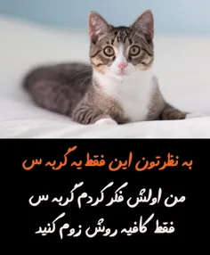 ظوم کن چی میبینی🤔