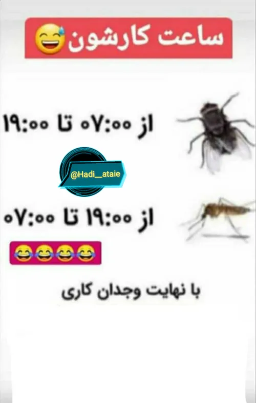 انصافن حقیقته. رسما نمود مارو😂🤦🏻‍♂️ @H.new.pv