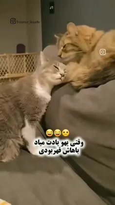 وقتی یادم میره که باید باهاش قهر باشی 🤦🏻‍♀️😂