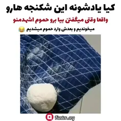 کیا‌یادشونه‌‌بگید چه‌حسی‌دارید