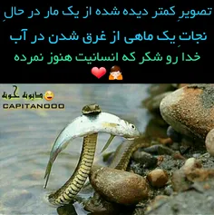 خدا رو هزاران مرتبه شُکر 🙏 😯  😅