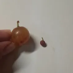 بچه ها انگور و مینی انگور🥹🎀✨