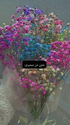 تو بی  تی اسی؟؟؟