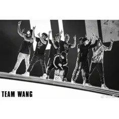 #Team_Wang