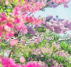 🌸 بِسْمِ اللّهِ الرَّحْمَنِ الرَّحیمِ🌸 