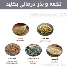 تخمه ژاپنی