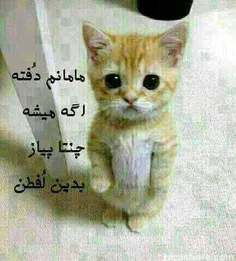 نازی