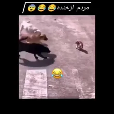 از خنده مردم❤❤