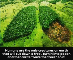 انسانها تنها موجوداتی در زمین هستن 