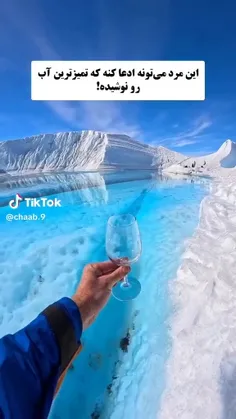 یه شاش پنگوئن ها و خرسای قطبی معذرت