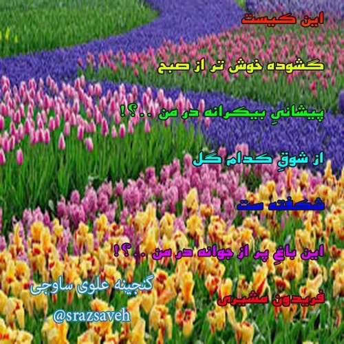 این کیست